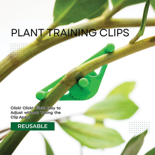 Adjustable Plant Clips 20 Pack