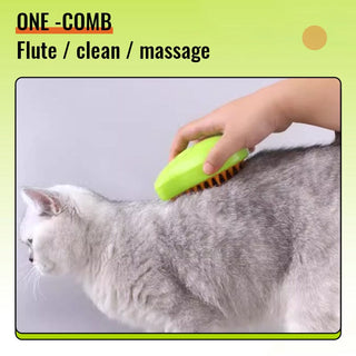 Pet Spray Massage Comb