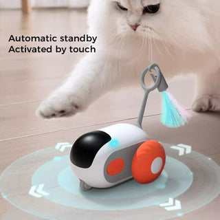 Smart Pet Sports Car Toy