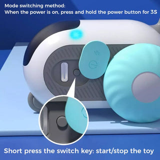 Smart Pet Sports Car Toy