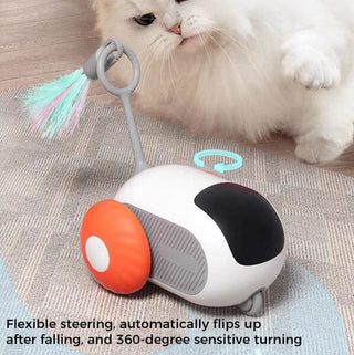 Smart Pet Sports Car Toy