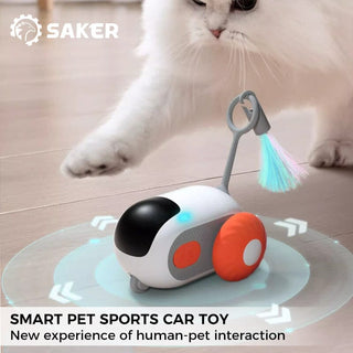 Smart Pet Sports Car Toy